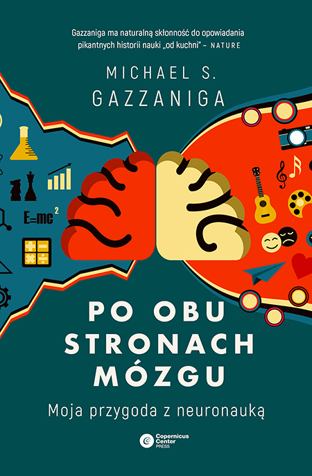 po obu stronach mozgu